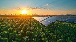 agrivoltaico banche campo sole