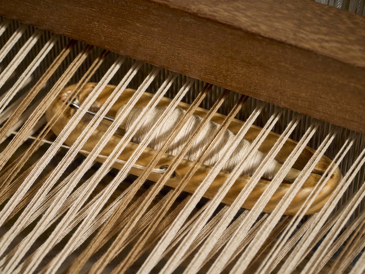 Studies Capitolo I: Sul Plaid