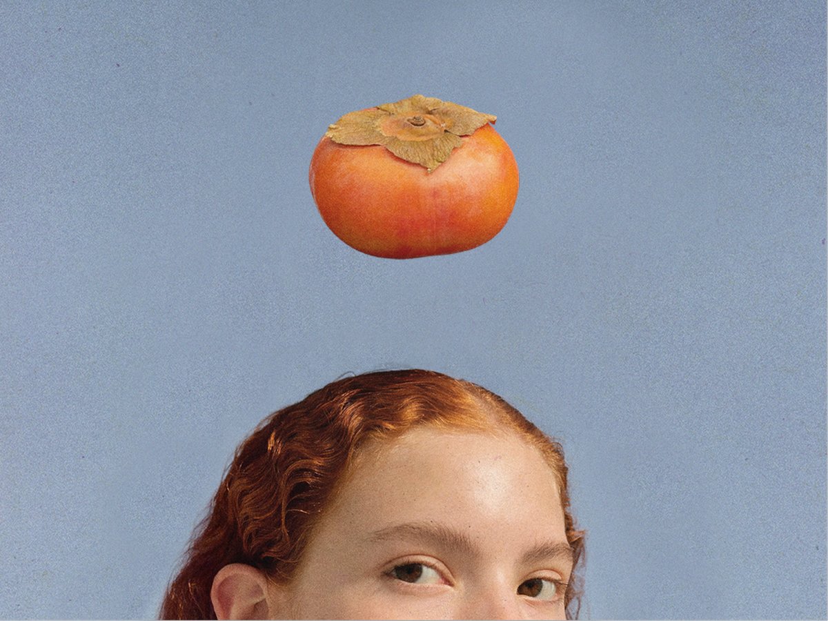 Rooms for Stories. From Seat to Seed.