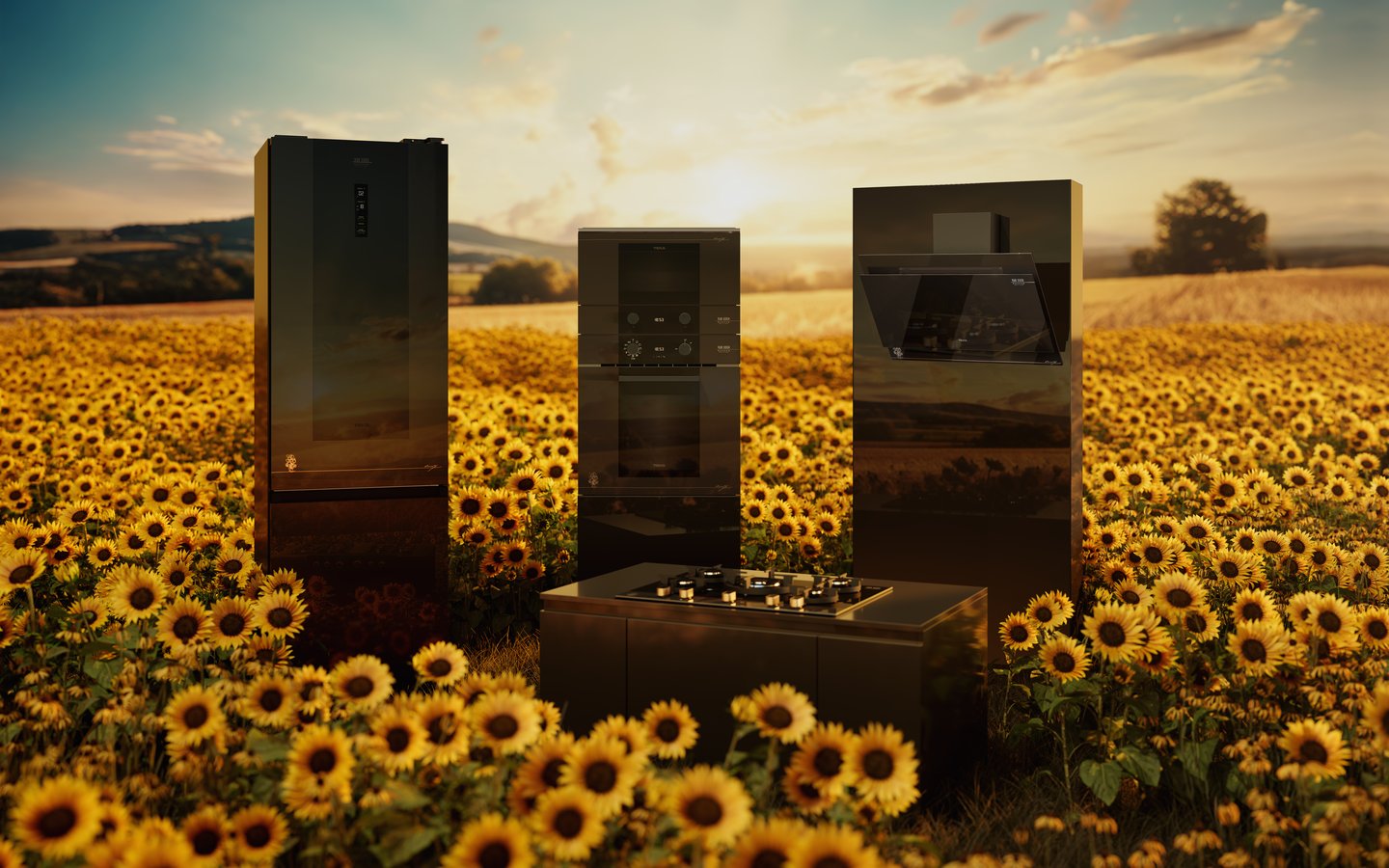 Memoteca: a TEKA journey