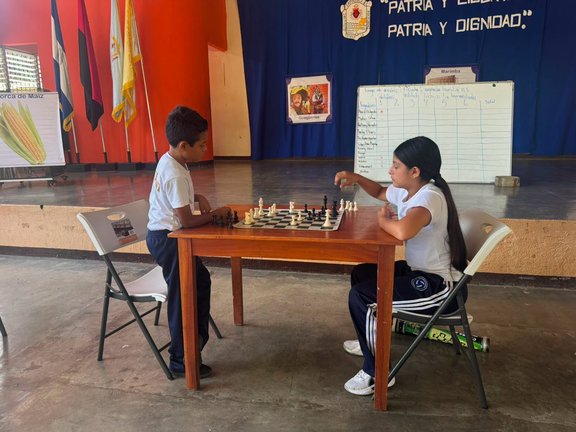 Partita amichevole di scacchi