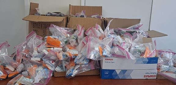 Cabrini Cares Day Spurs Action