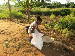 MOZ 27 - UN ORTO E UN ALLEVAMENTO PER I GIOVANI DI MANGUNDE