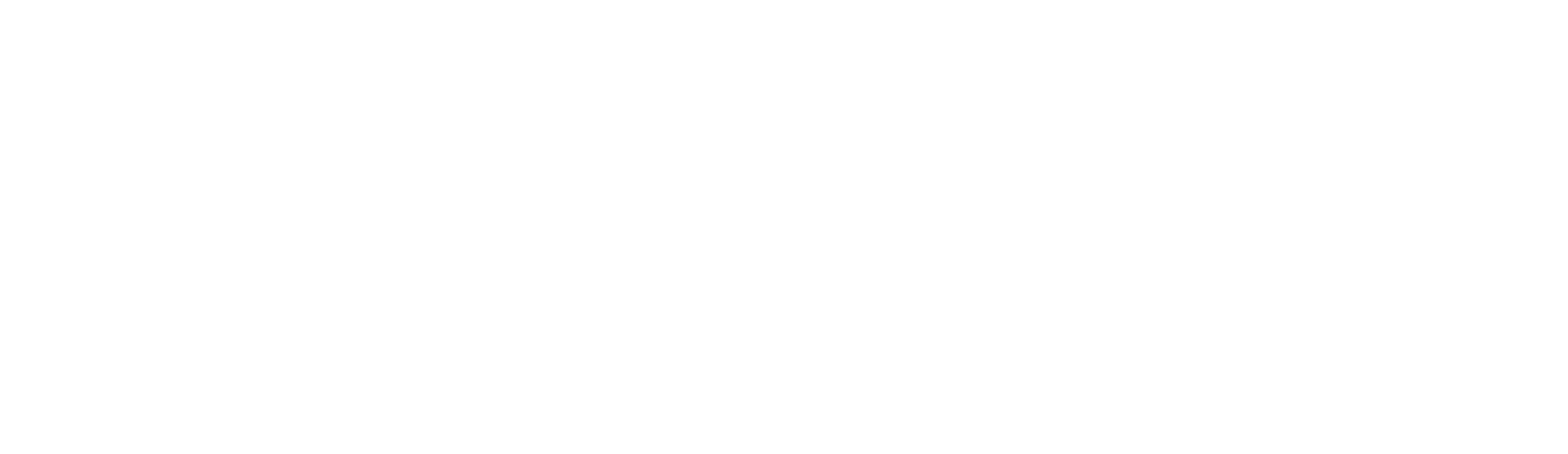 Logo Fondazione Comboniane nel Mondo
