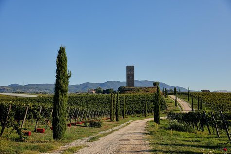 Enoturismo: cultura e sensorialità