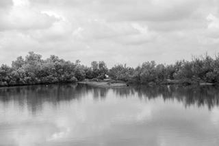 Donata Zanotti Photographer