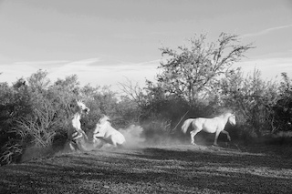 Donata Zanotti Photographer