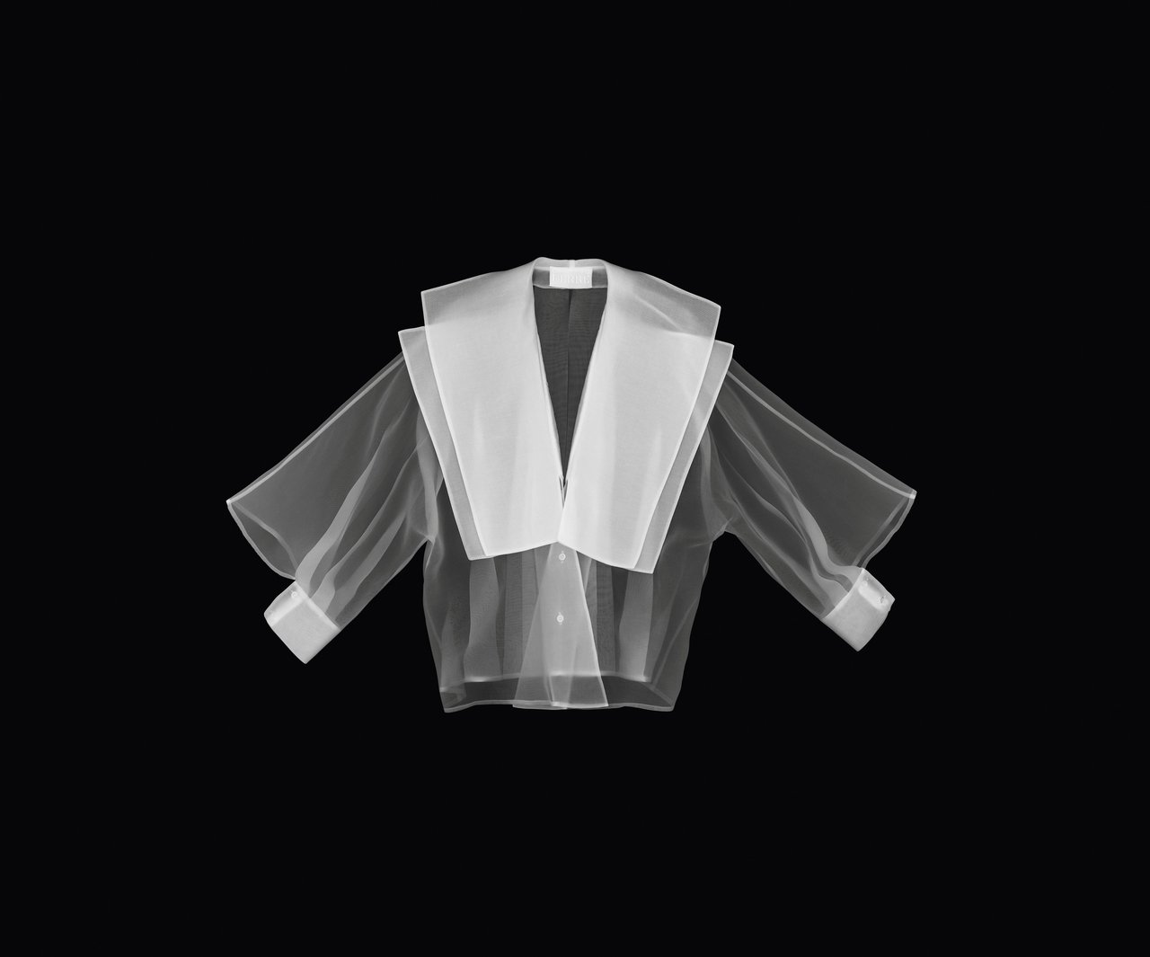 ph. Leonardo Salvini