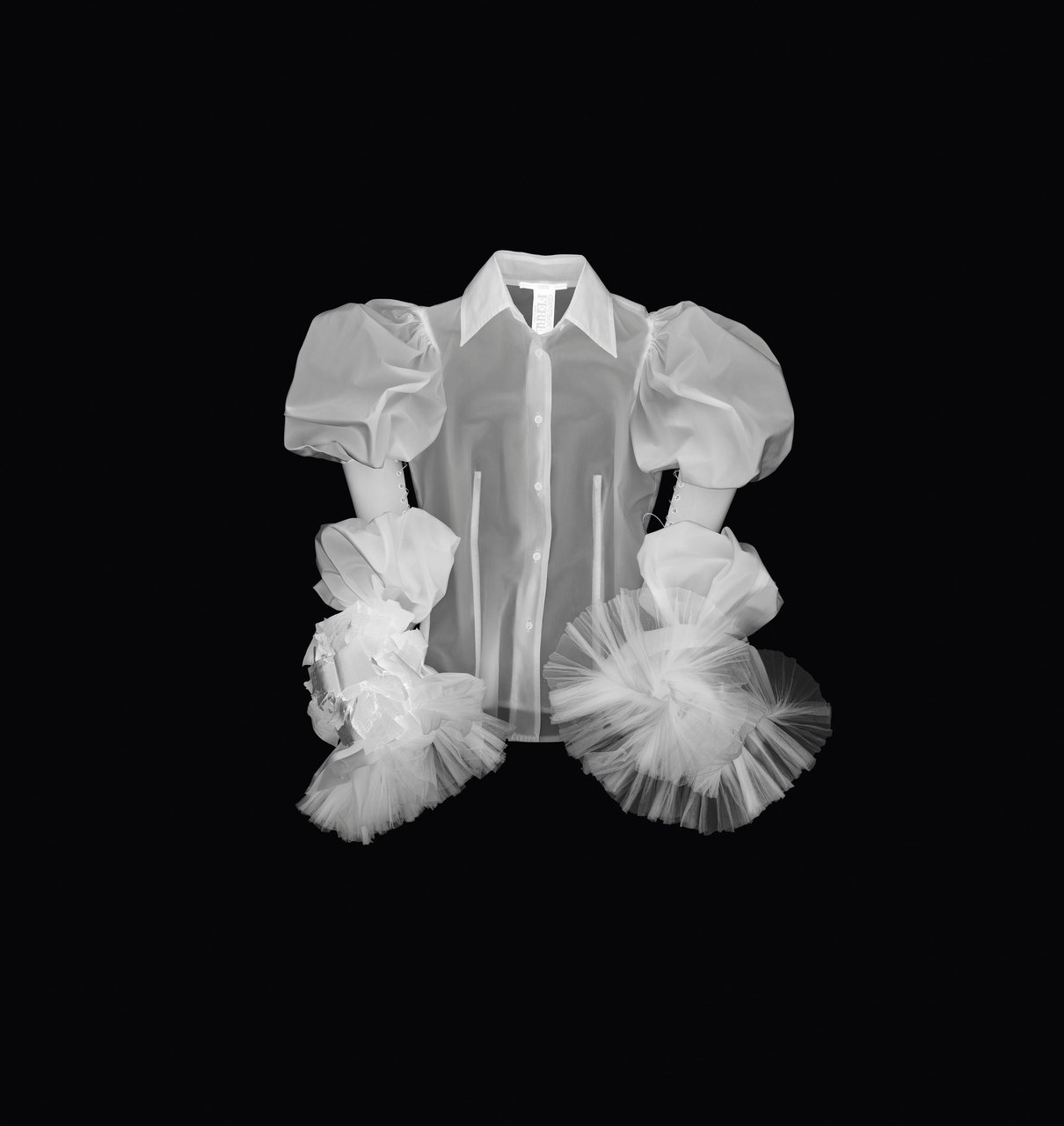 ph. Leonardo Salvini