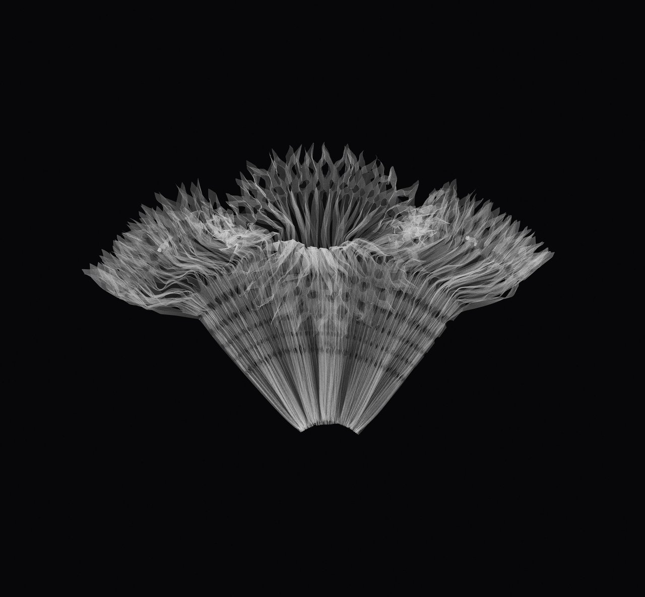 ph. Leonardo Salvini