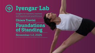 Iyengar Lab 1 e 2 novembre 2025