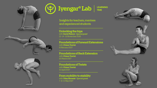 Iyengar® Lab | Formazione Continua