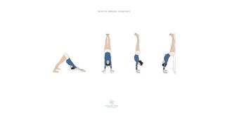 Winter Immune - part 2