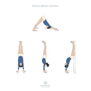 Winter Immune - part 2