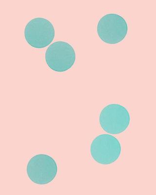 La camera delle meraviglie