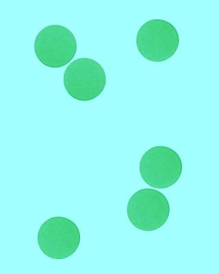 La camera delle meraviglie