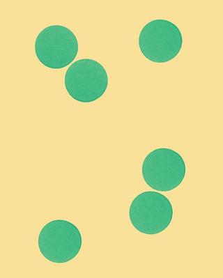 La camera delle meraviglie