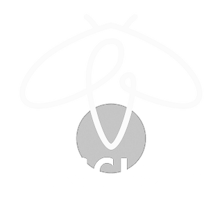 Lucciole. Facciamo luce sulla cultura logo
