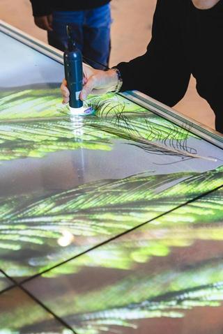 Camera delle meraviglie