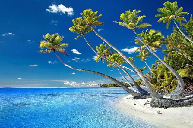 Season of Creation 2025 - A Reflection from the Pacific Islands