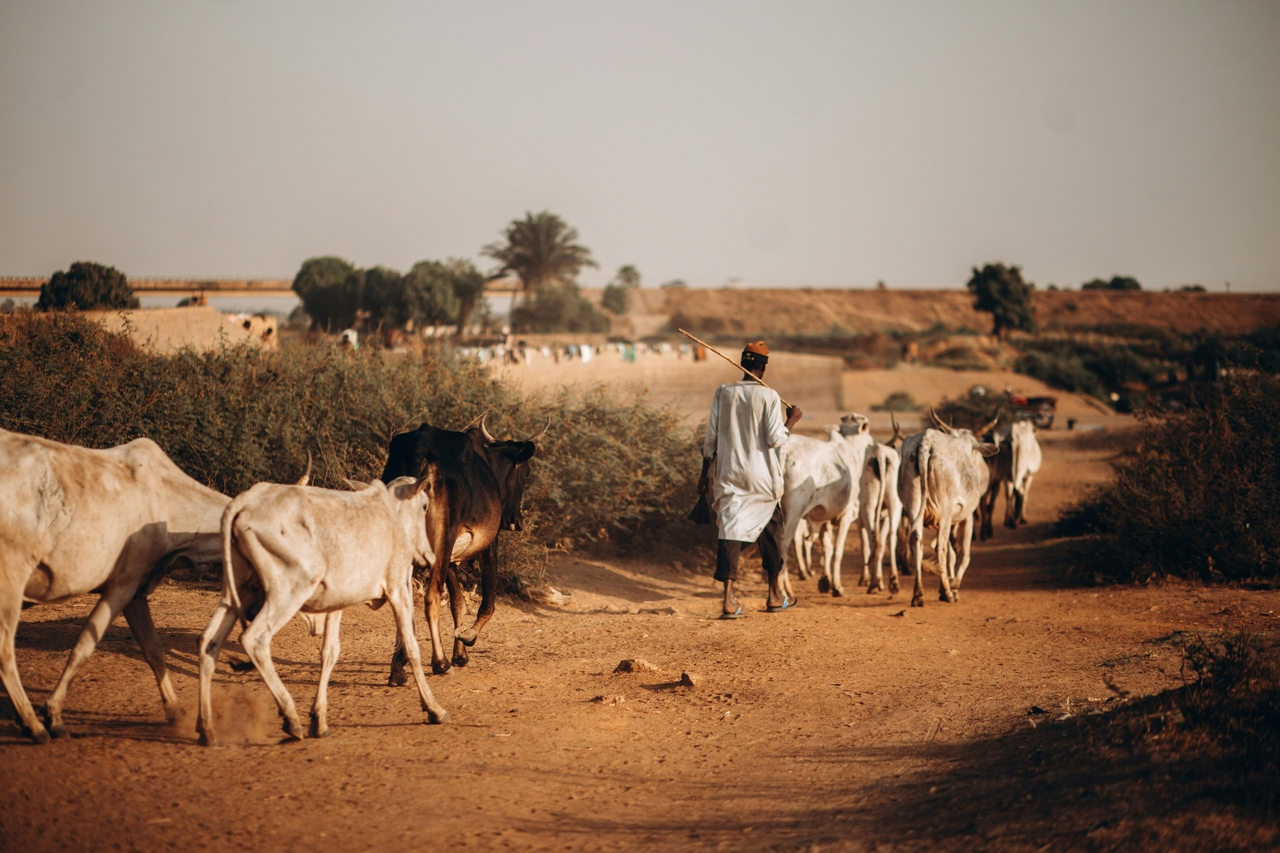 Peace with Creation - Reflections from the Talitha Kum networks on the Season of Creation 2025