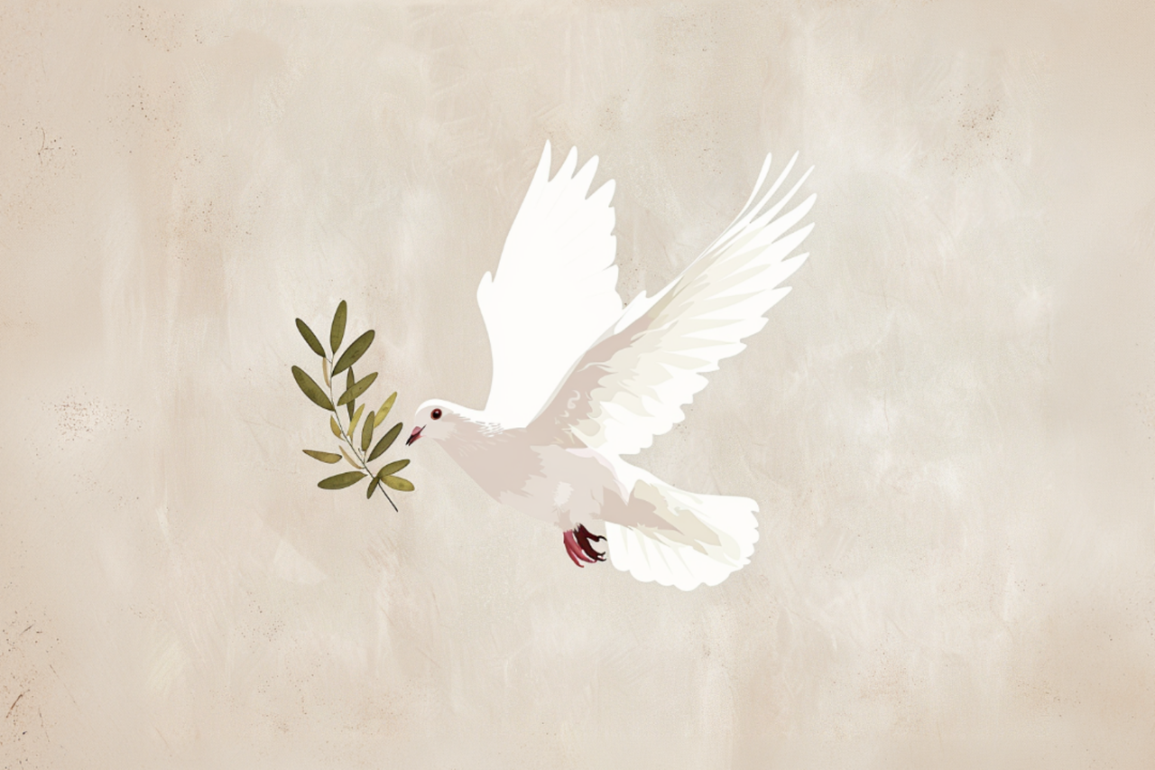 Webinar: Non-Violence and Human Dignity – An Integral Ecology Perspective