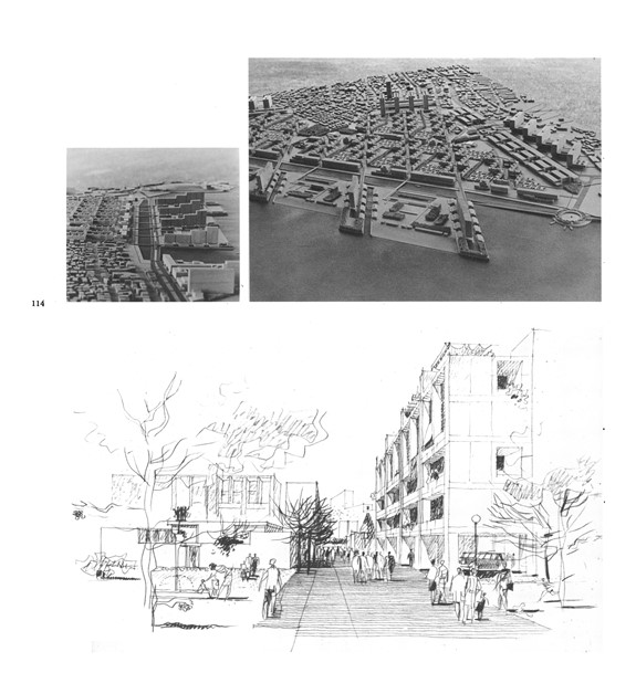 "The Realism of the Partial Vision"