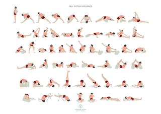 Fall de-tox sequence