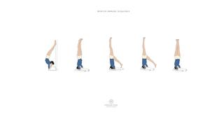 Winter immune - Part 4