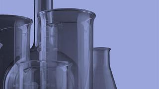 YogaMeetsScience - Ep.5 Towards scientific values