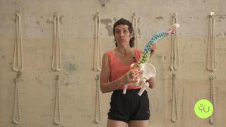 PracticePills - Ep.4 Adho Mukha Svanasana